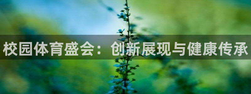 500体育软件：校园体育盛会：创新展现与健康传承