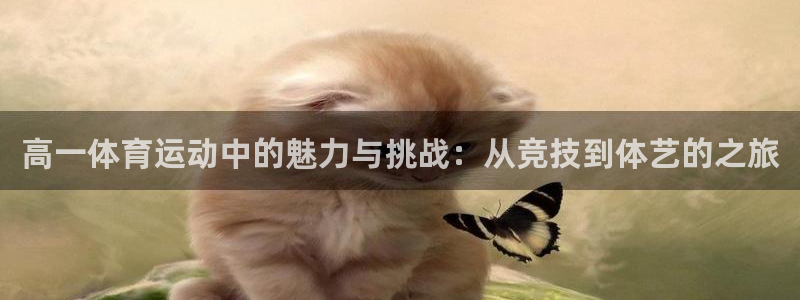 500体育彩票足球竞彩网：高一体育运动中的魅力与挑战：从竞技到体艺的之旅