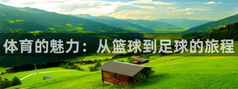 500体育开奖结果：体育的魅力：从篮球到足球的旅程