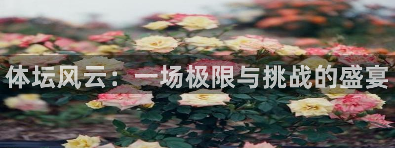500体育用不了：体坛风云：一场极限与挑战的盛宴
