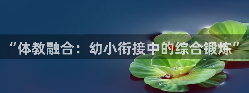 500体育直播nba直播：“体教融合：幼小衔接中的综合锻炼”